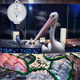 Illustration for article titled Photographs of wild animals in our natural environment: the Supermarket